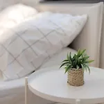 Meerrettichnest Appartement